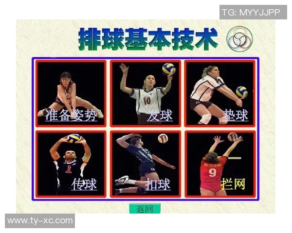 广州排球队灵活性对比分析揭示战术优势与发展潜力