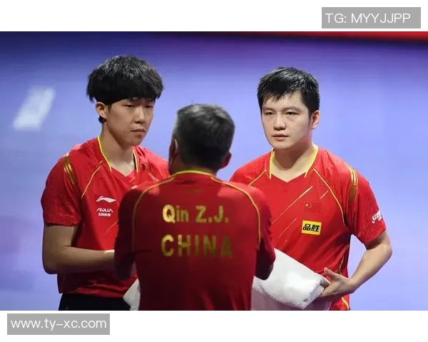 成都乒乓球队灵活性引发热议球迷与专家观点交锋不断